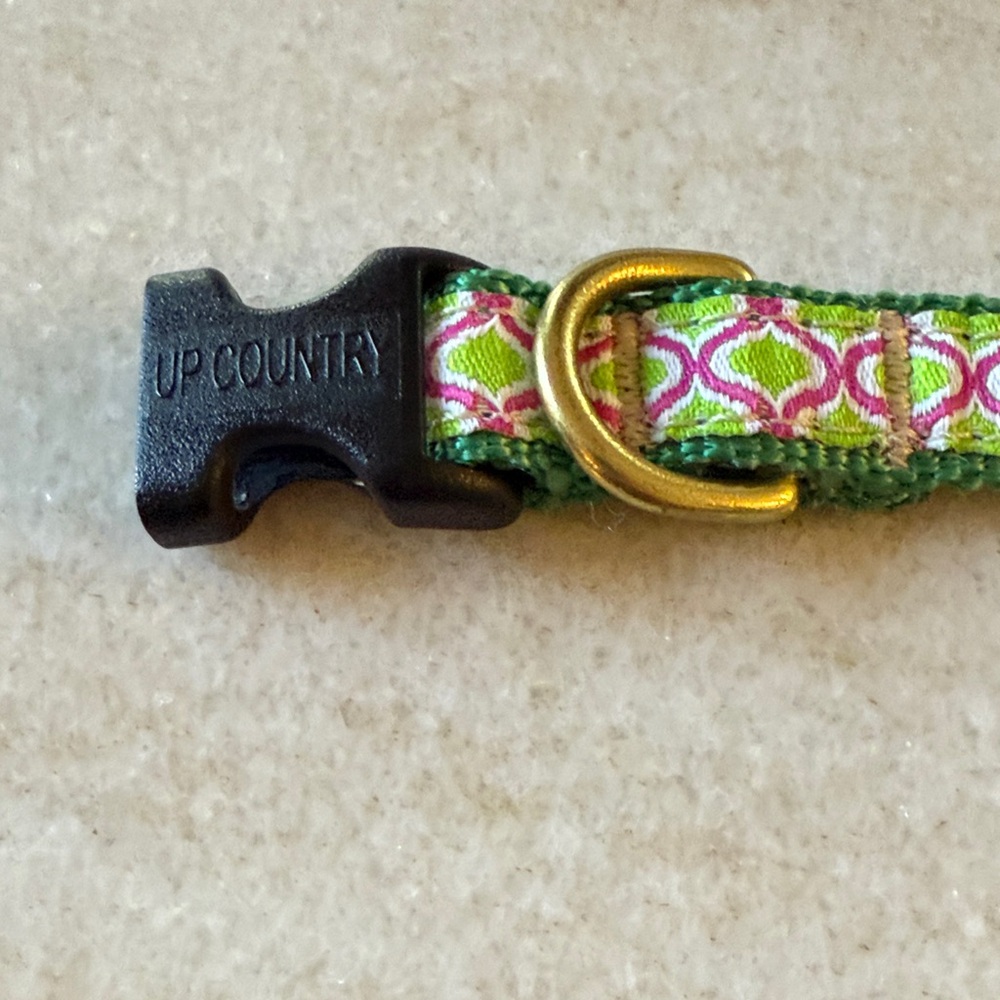 Up Country Green and Pink Dog Collard has matching leash listed.